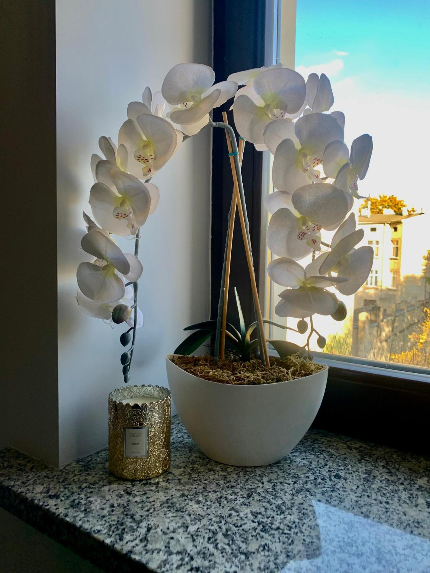 לודז' Apartment Kilinskiego Street מראה חיצוני תמונה